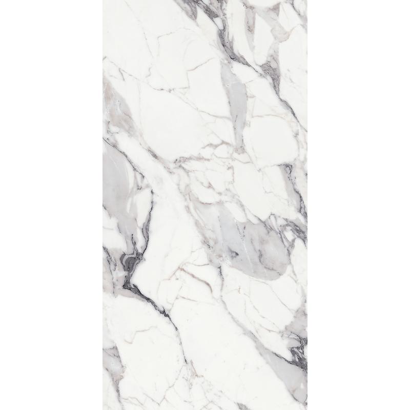 Luxury Design LES ORIGINES DE REX ORIGINES ARGENT  120x240 cm 6 mm Mate 