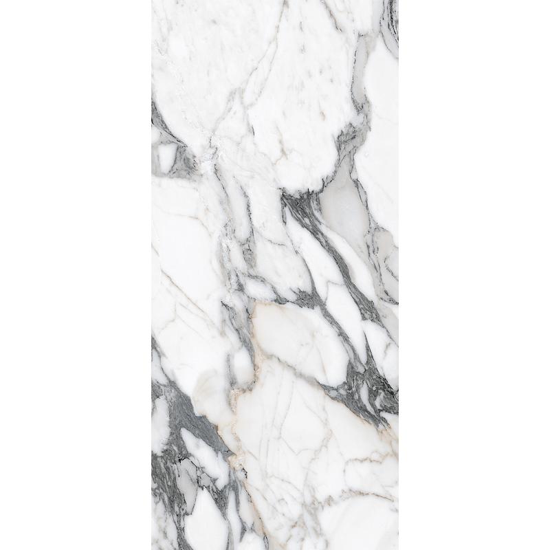 Luxury Design LES ORIGINES DE REX ORIGINES ARGENT  80x180 cm 9 mm Glossy 