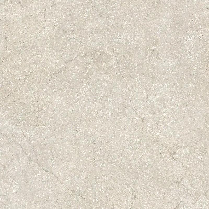 Contemporary Design STONE LIFE SHELL  120x120 cm 6 mm Mate 