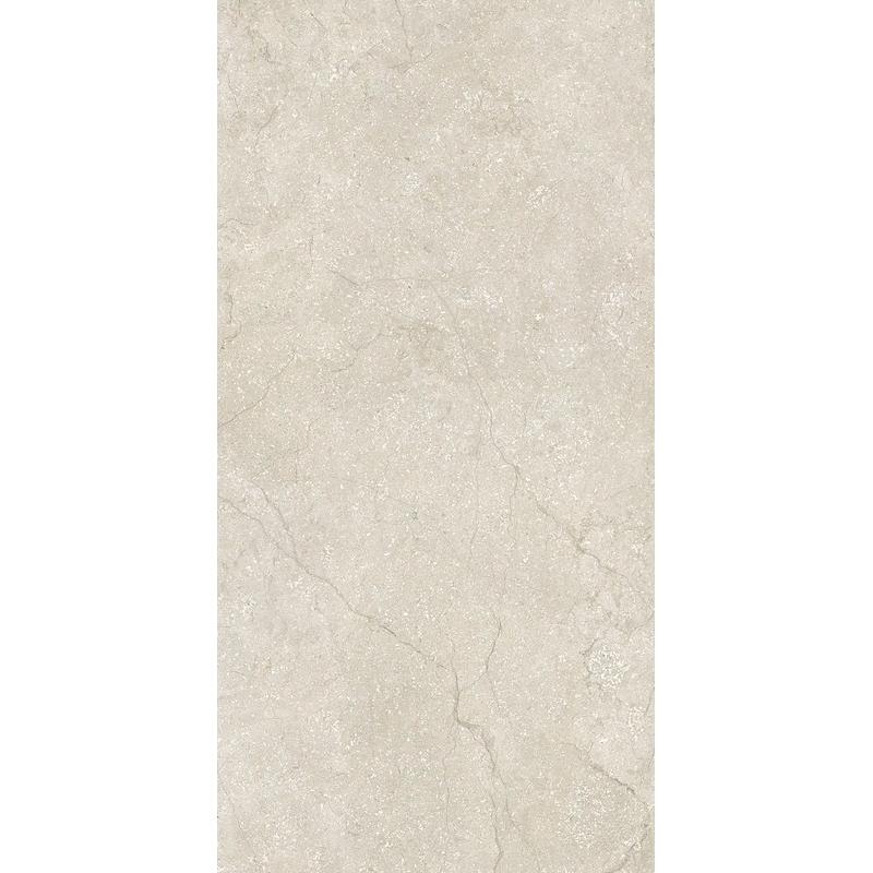 Contemporary Design STONE LIFE SHELL  120x240 cm 6 mm Mate 