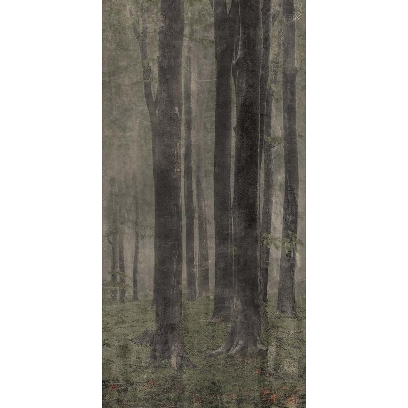 ABK WIDE & STYLE Woods  120x240 cm 8.5 mm DIGIT+ 