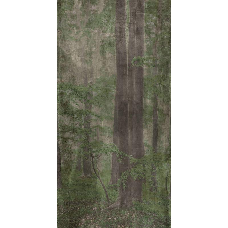 ABK WIDE & STYLE Woods C  120x280 cm 6 mm DIGIT+ 